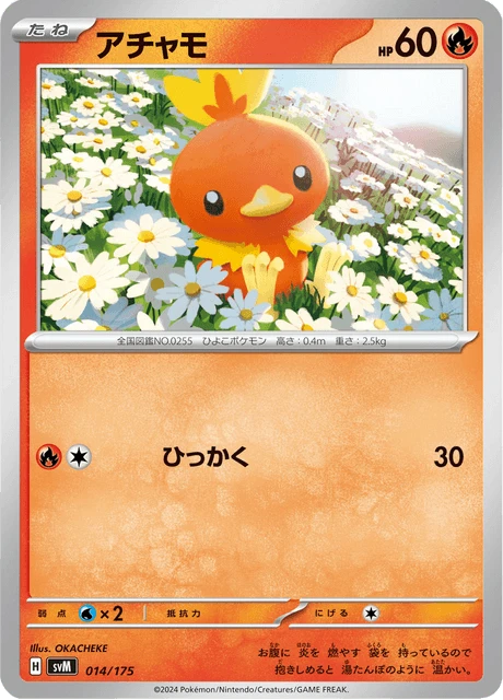 Torchic – Normal