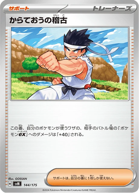 Black Belt's Training – Normal