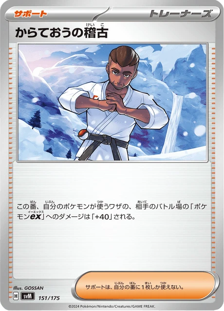 Black Belt's Training – Normal