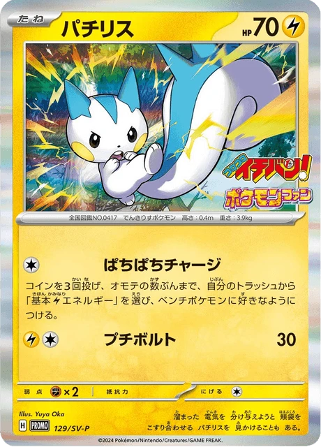 Pachirisu – Holo