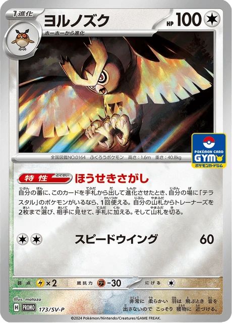 Noctowl – Holo