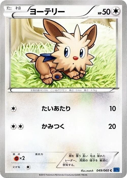 Lillipup – Normal · 1st Edition