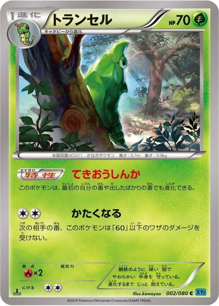 Metapod – Normal · 1st Edition