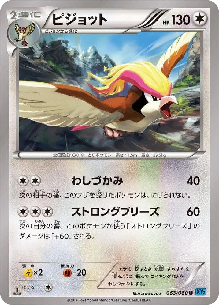 Pidgeot – Normal · 1st Edition