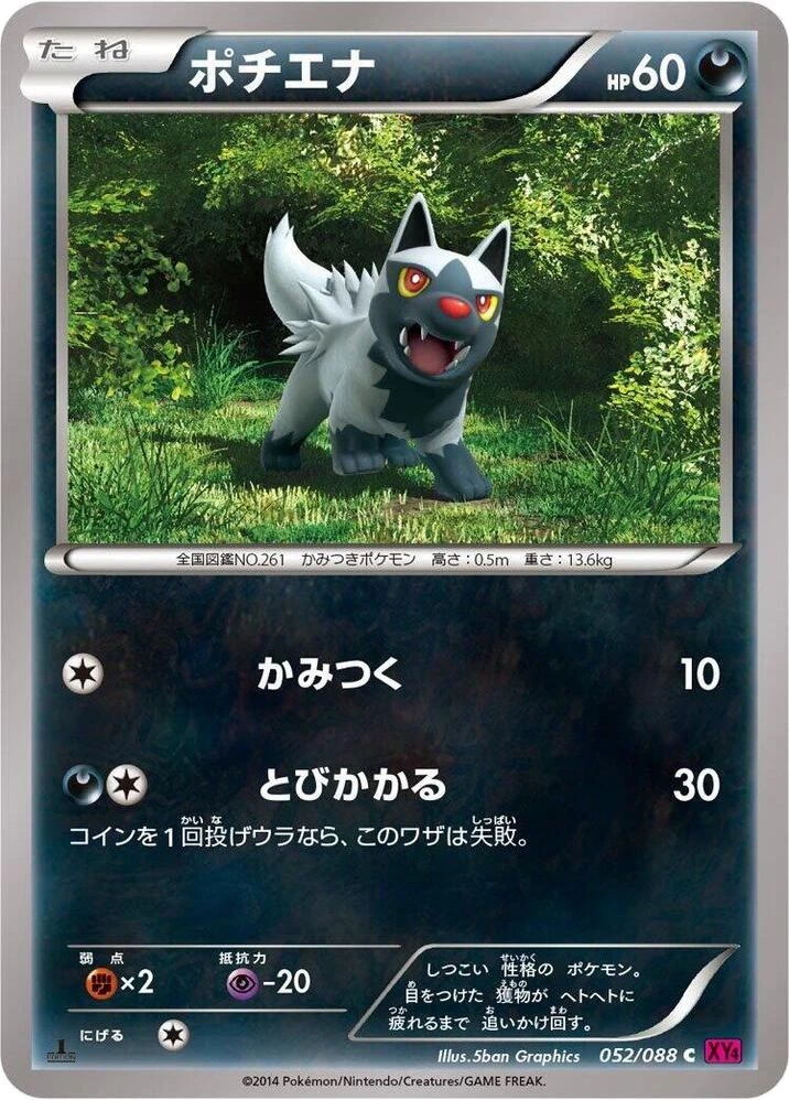Poochyena – Normal · 1st Edition