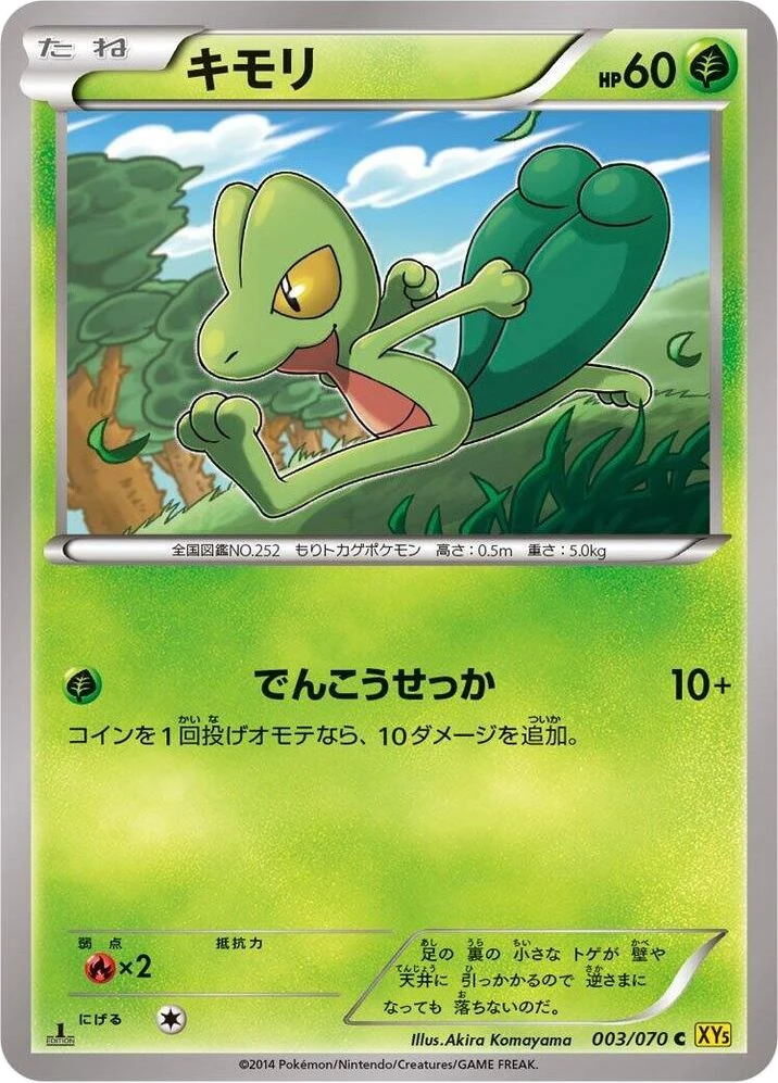 Treecko – Normal