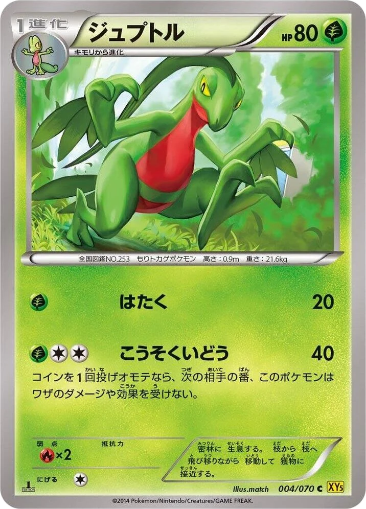 Grovyle – Normal