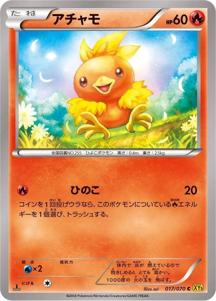 Torchic – Normal