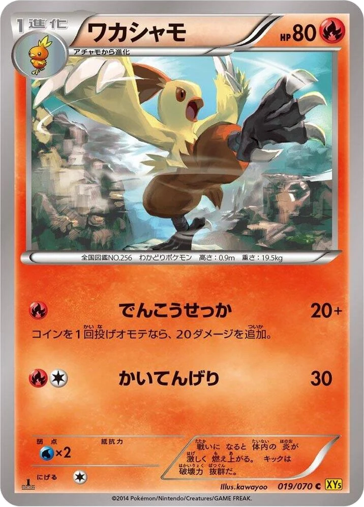 Combusken – Normal