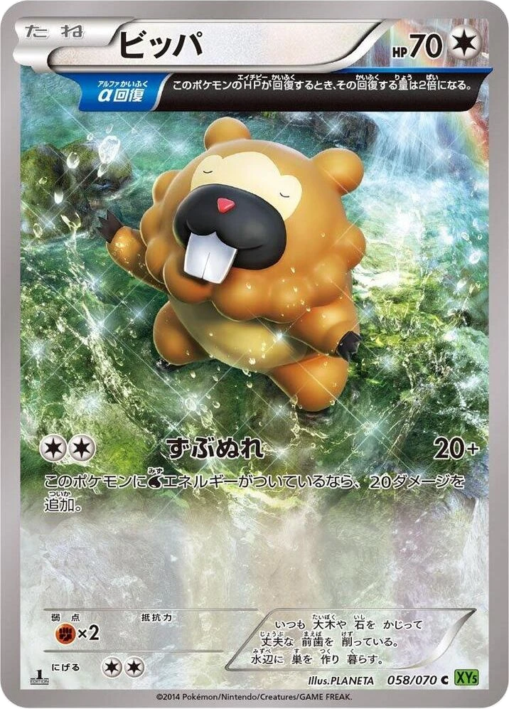 Bidoof – Normal