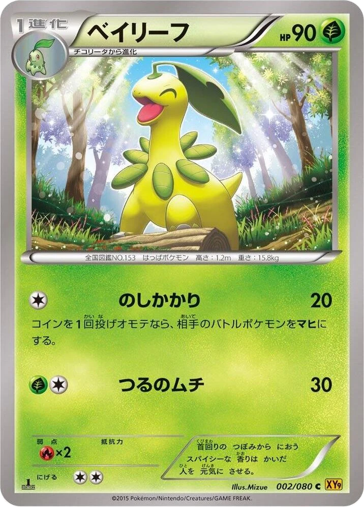 Bayleef – Normal · 1st Edition