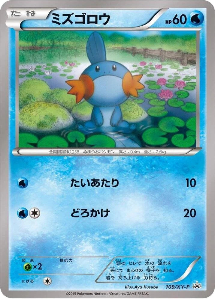 Mudkip – Normal