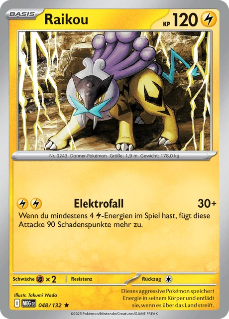 Raikou – Holo