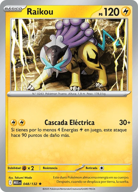 Raikou – Holo