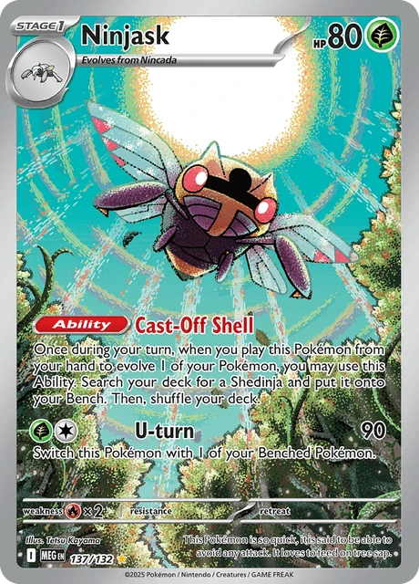 Ninjask