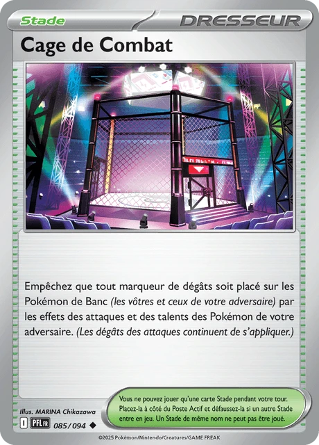 Cage de Combat – Normal