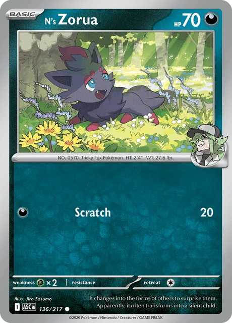 N's Zorua