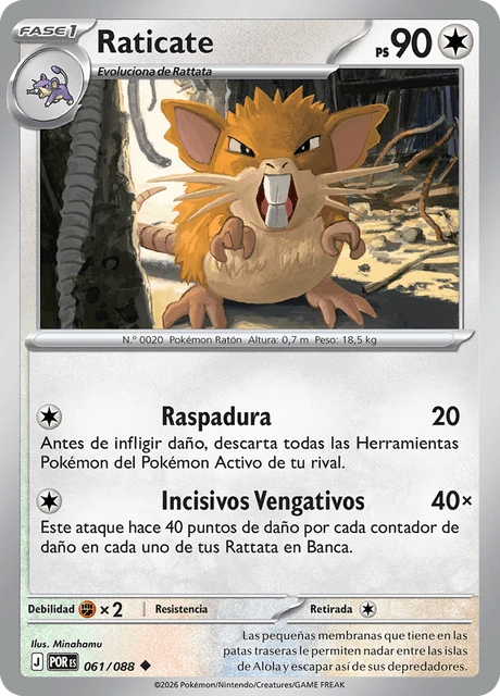 Raticate – Reverse Holo
