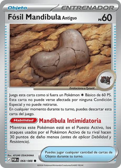 Fósil Mandíbula Antiguo – Normal