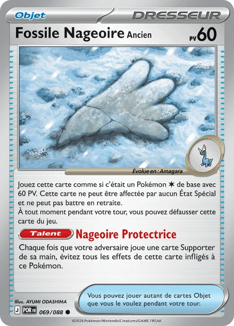 Fossile Nageoire Ancien – Normal