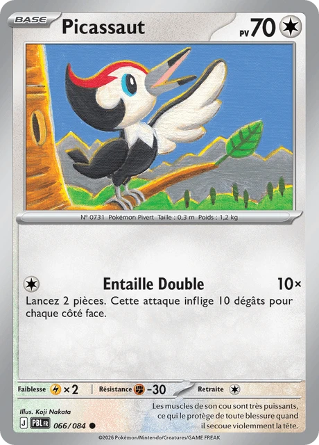 Picassaut – Normal