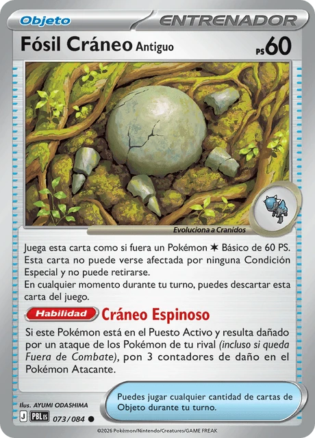 Fósil Cráneo Antiguo – Normal