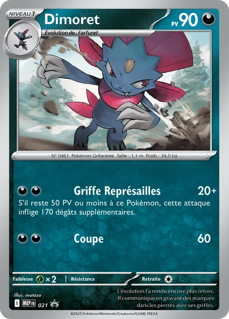 Dimoret – Holo