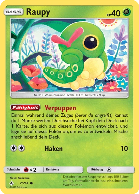 Raupy
