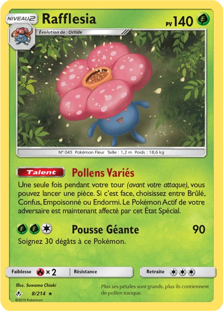 Rafflesia