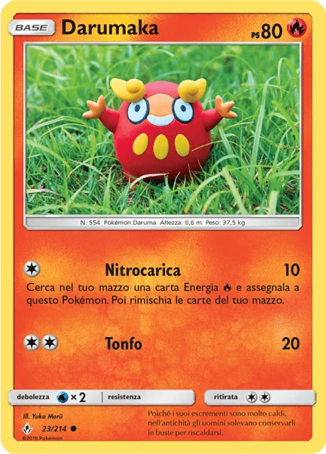 Darumaka