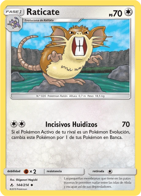 Raticate – Normal