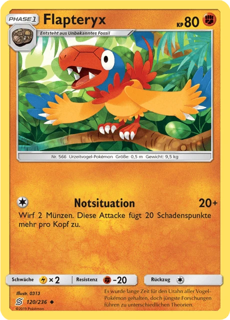 Flapteryx – Normal