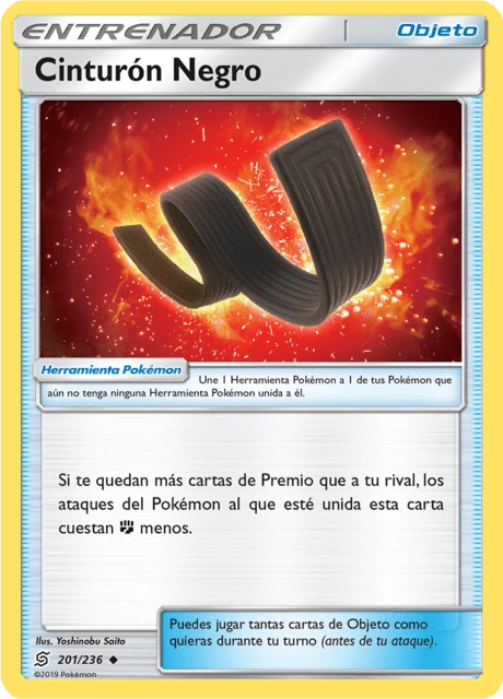 Cinturón Negro – Normal