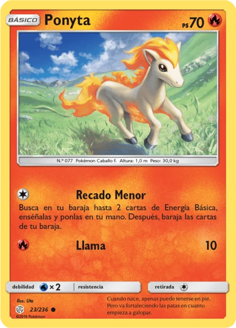 Ponyta