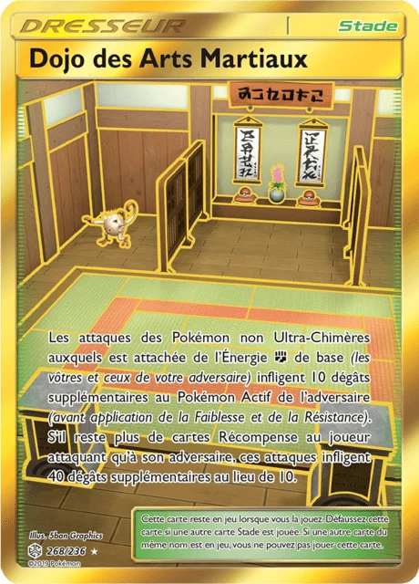 Dojo des Arts Martiaux – Holo