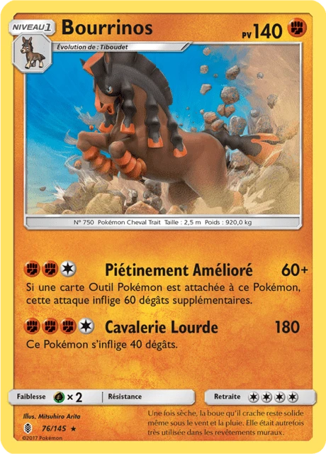 Bourrinos – Holo
