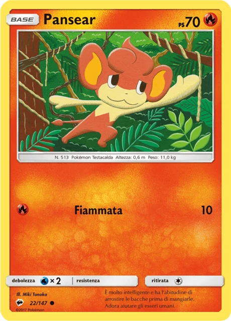Pansear