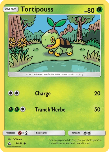 Tortipouss