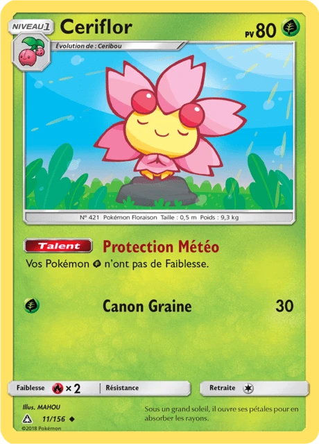 Ceriflor