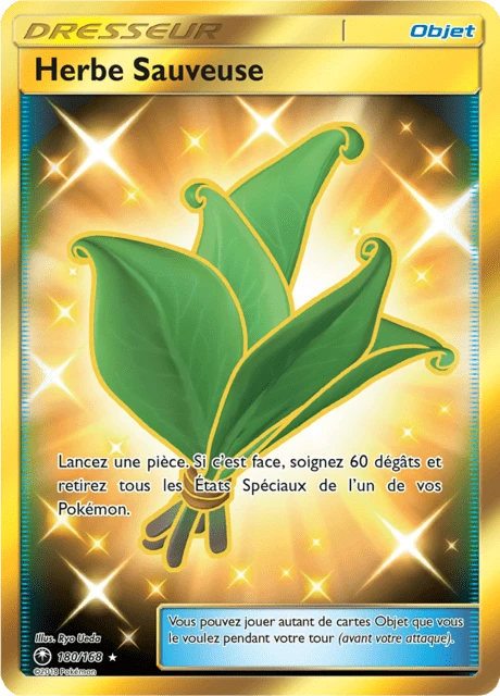 Herbe Sauveuse – Holo