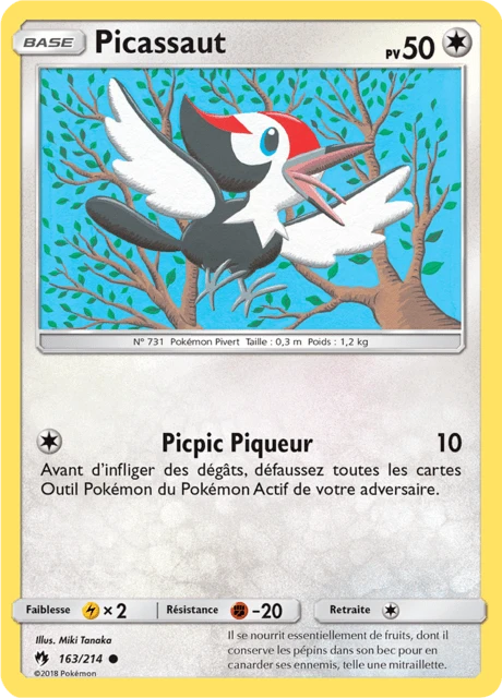 Picassaut – Normal