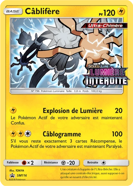 Câblifère – Holo