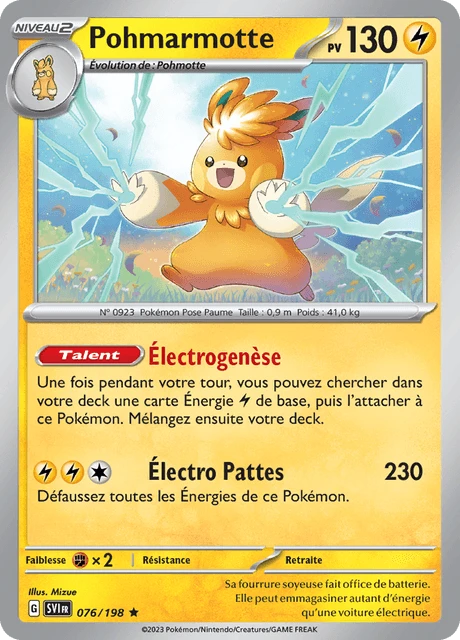 Pohmarmotte – Reverse Holo
