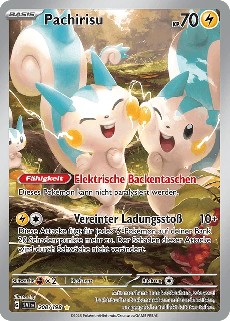 Pachirisu – Holo