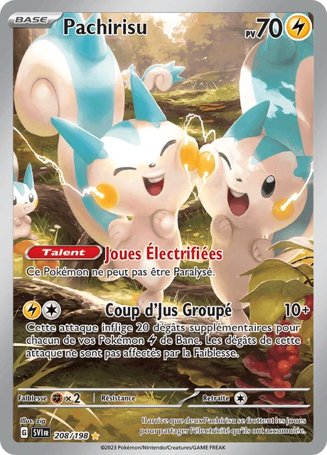 Pachirisu – Holo