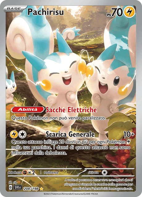Pachirisu – Holo