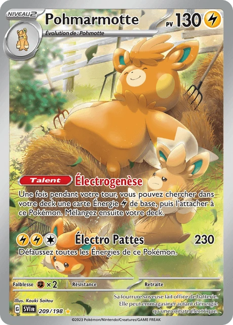 Pohmarmotte – Holo