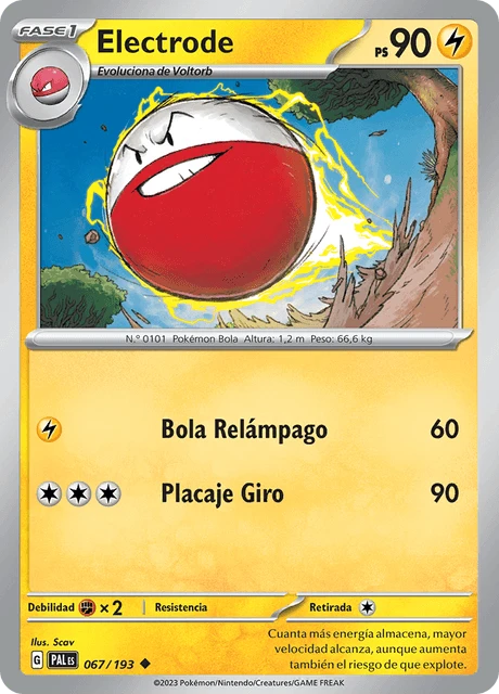 Electrode – Normal
