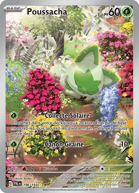 Poussacha – Holo
