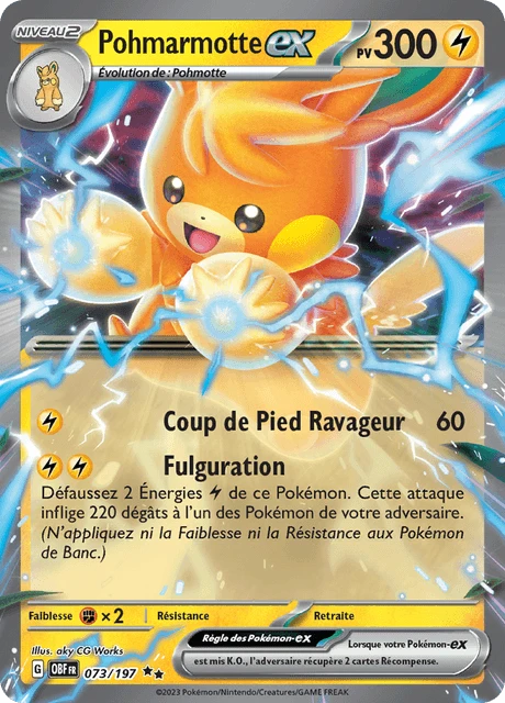 Pohmarmotte-ex – Holo